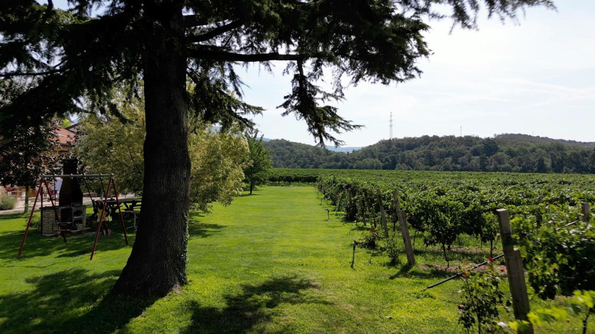 Agriturismo Corte Patrizia Каприно Веронезе Екстериор снимка