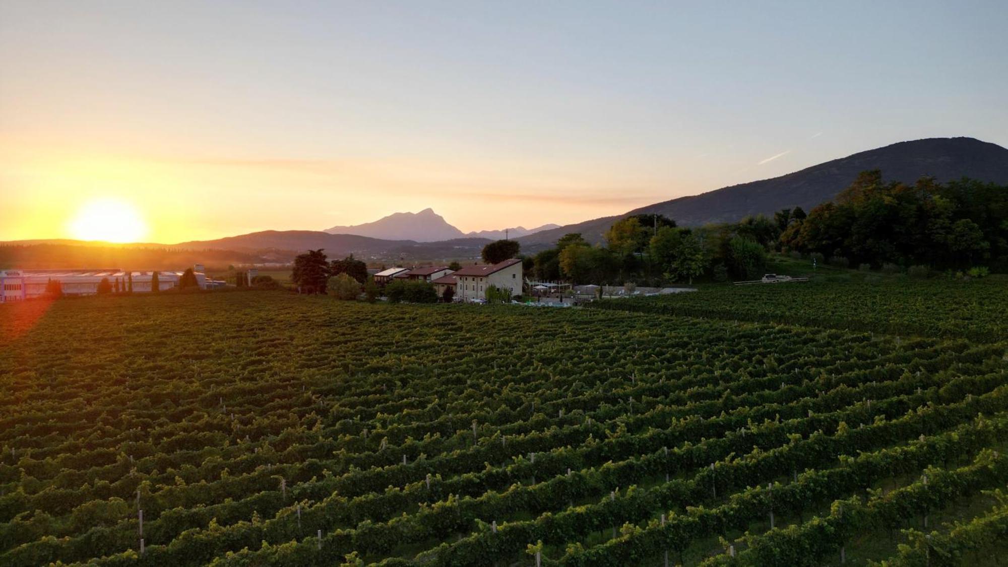Agriturismo Corte Patrizia Каприно Веронезе Екстериор снимка