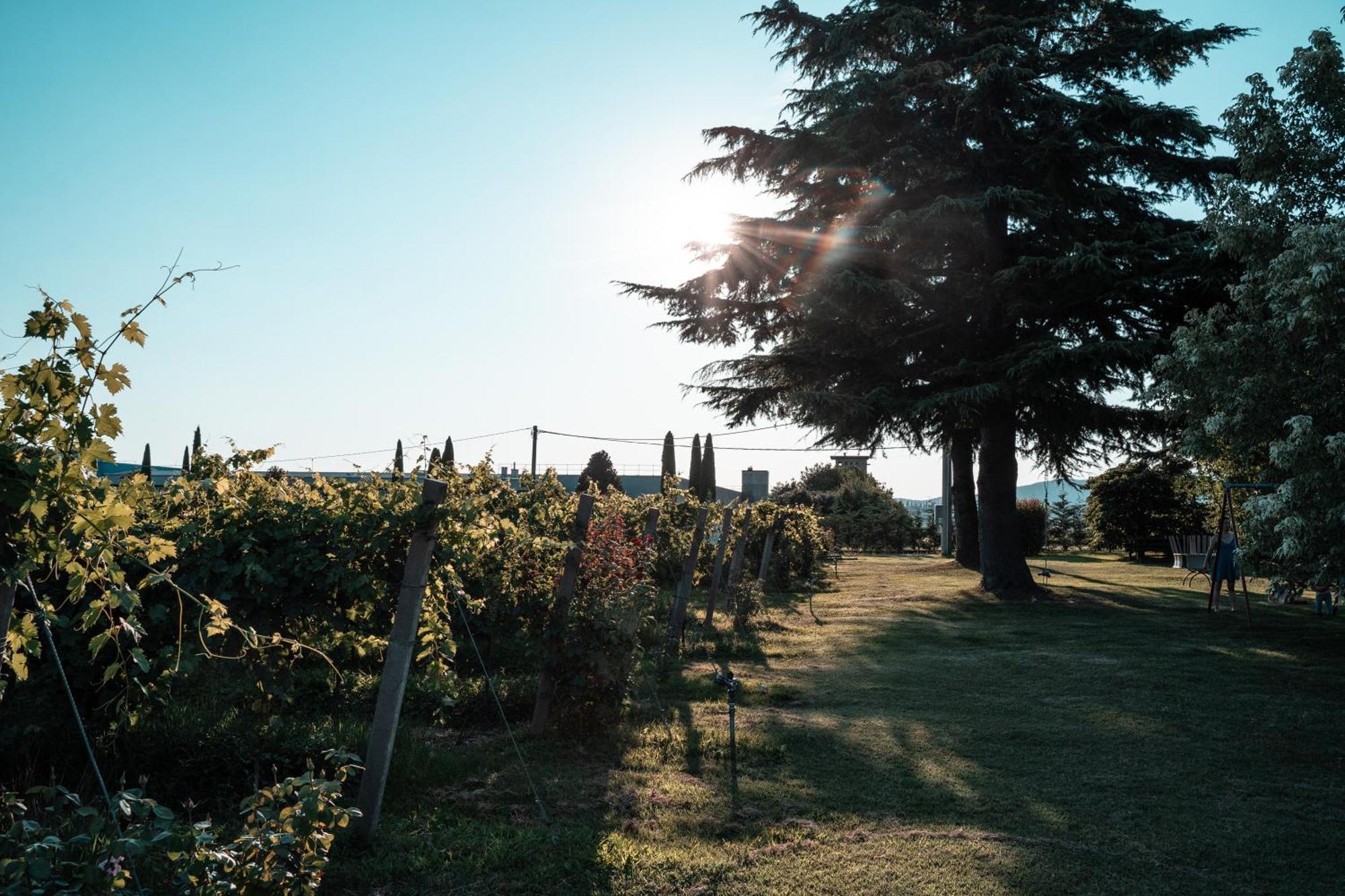 Agriturismo Corte Patrizia Каприно Веронезе Екстериор снимка