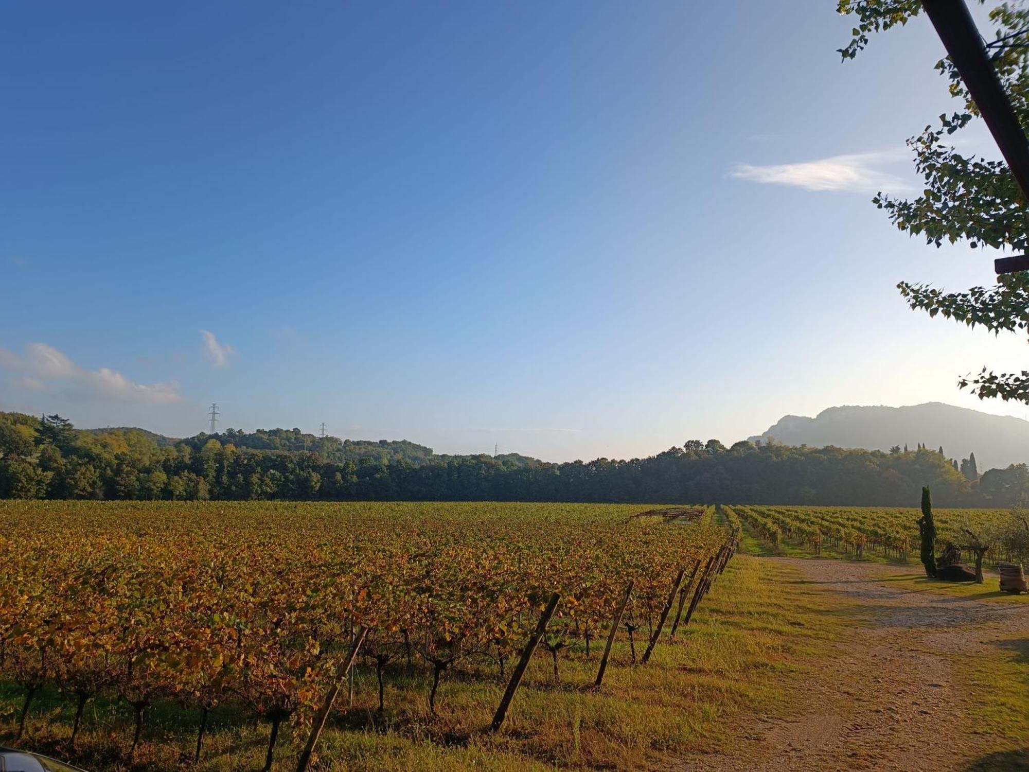 Agriturismo Corte Patrizia Каприно Веронезе Екстериор снимка